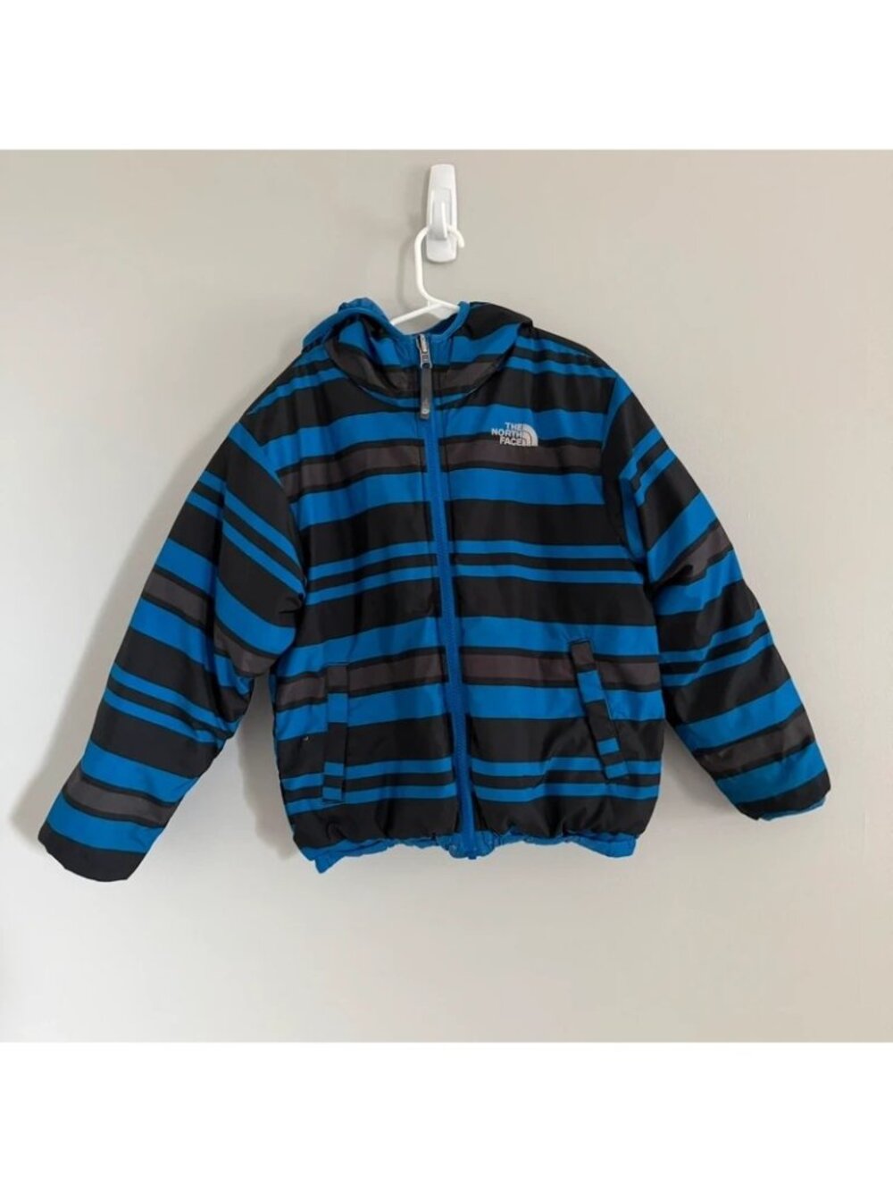 The North Face 550 Down Hooded Puffer Jacket